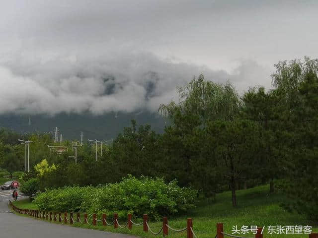 木兰花令——初秋雨后