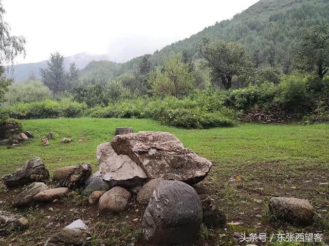 木兰花令——初秋雨后