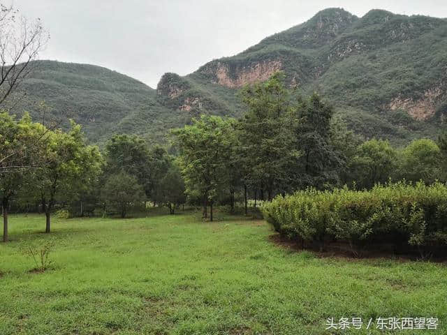 木兰花令——初秋雨后