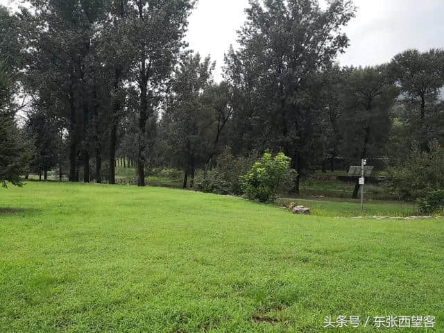 木兰花令——初秋雨后