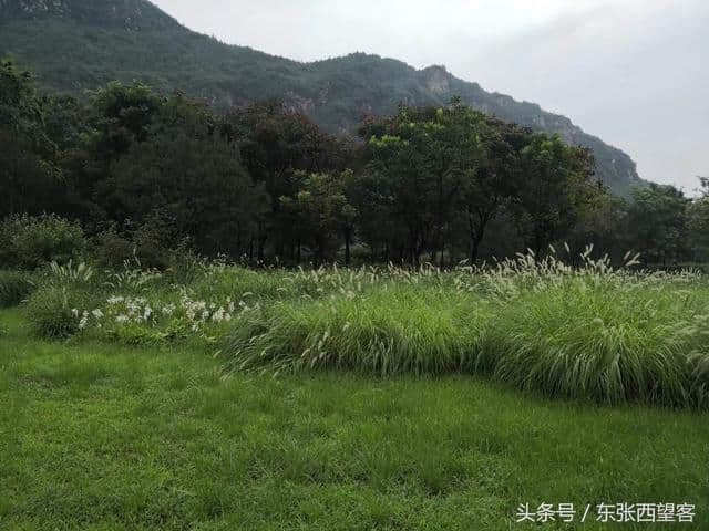 木兰花令——初秋雨后