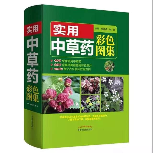 民俗里的中医：端午节为啥要挂艾草菖蒲、沐兰汤、薰苍术？