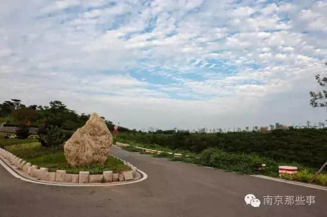 登上这6个地方，才能看到南京最惊艳的风景