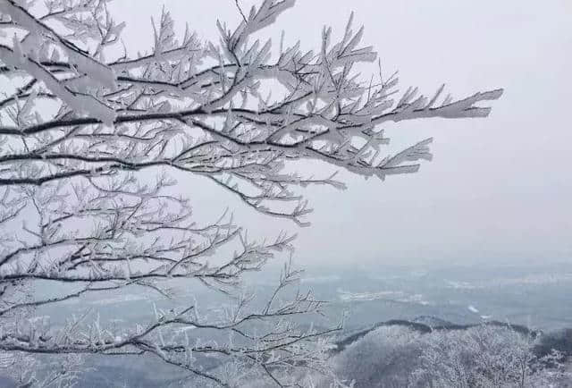 登上这6个地方，才能看到南京最惊艳的风景