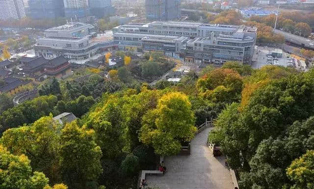 登上这6个地方，才能看到南京最惊艳的风景