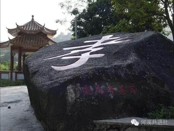 潮阳海岩寺两株木棉树，树龄100多年