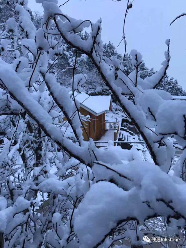 只缘身在此山中：忍住看你，却忍不住想你