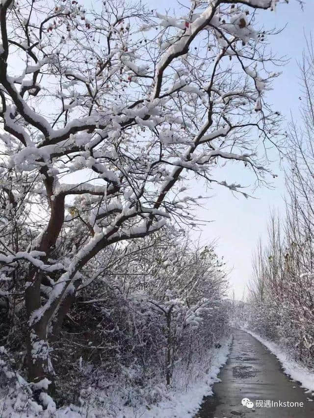 只缘身在此山中：忍住看你，却忍不住想你