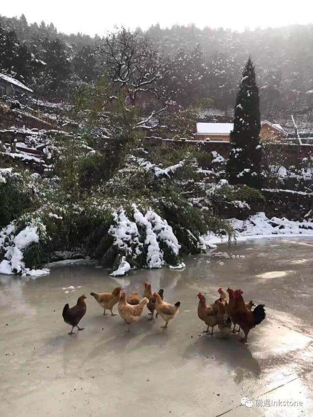 只缘身在此山中：忍住看你，却忍不住想你