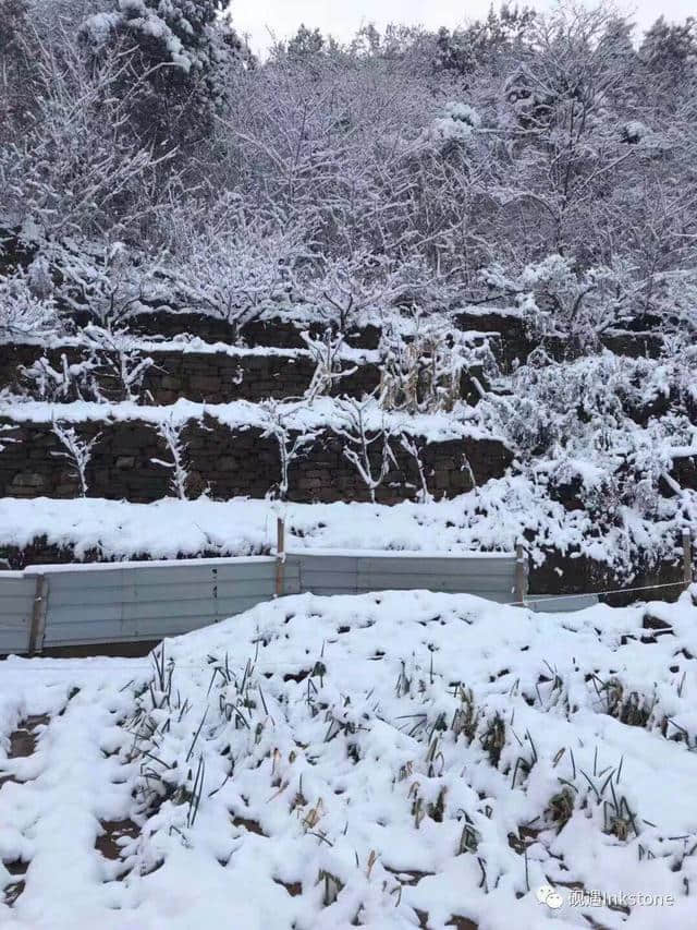 只缘身在此山中：忍住看你，却忍不住想你