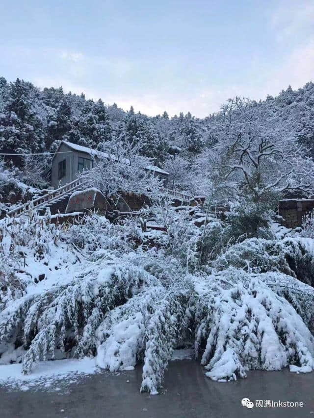 只缘身在此山中：忍住看你，却忍不住想你