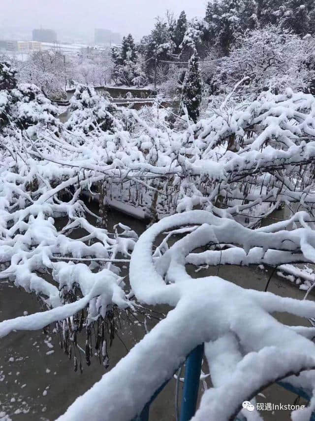 只缘身在此山中：忍住看你，却忍不住想你