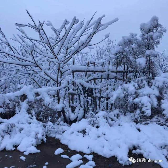 只缘身在此山中：忍住看你，却忍不住想你