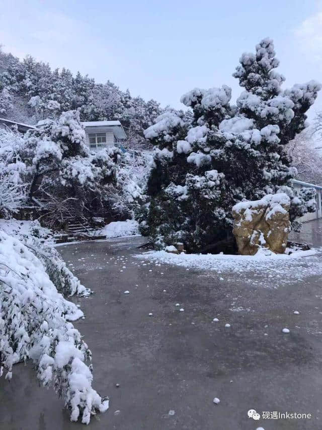 只缘身在此山中：忍住看你，却忍不住想你