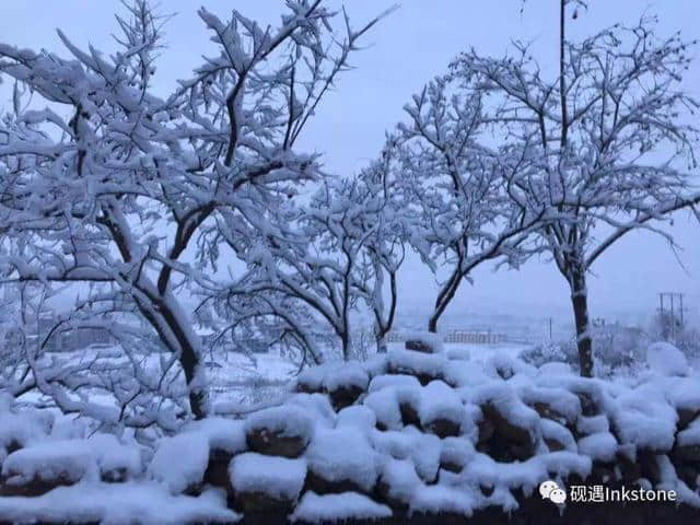 只缘身在此山中：忍住看你，却忍不住想你