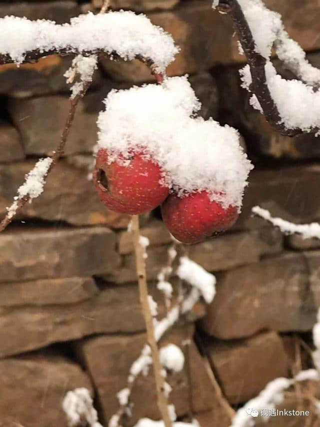 只缘身在此山中：忍住看你，却忍不住想你