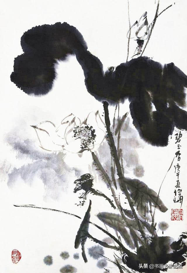 荷叶罗裙一色裁，芙蓉向脸两边开——白伯骅先生书画作品雅赏