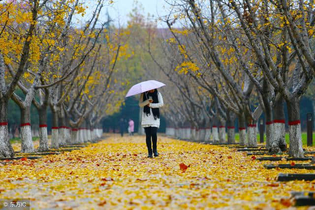 木兰花慢 · 秋怅