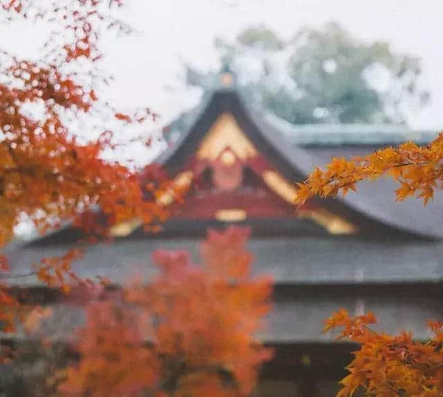 苏轼笔下的秋天，写尽人生的百味