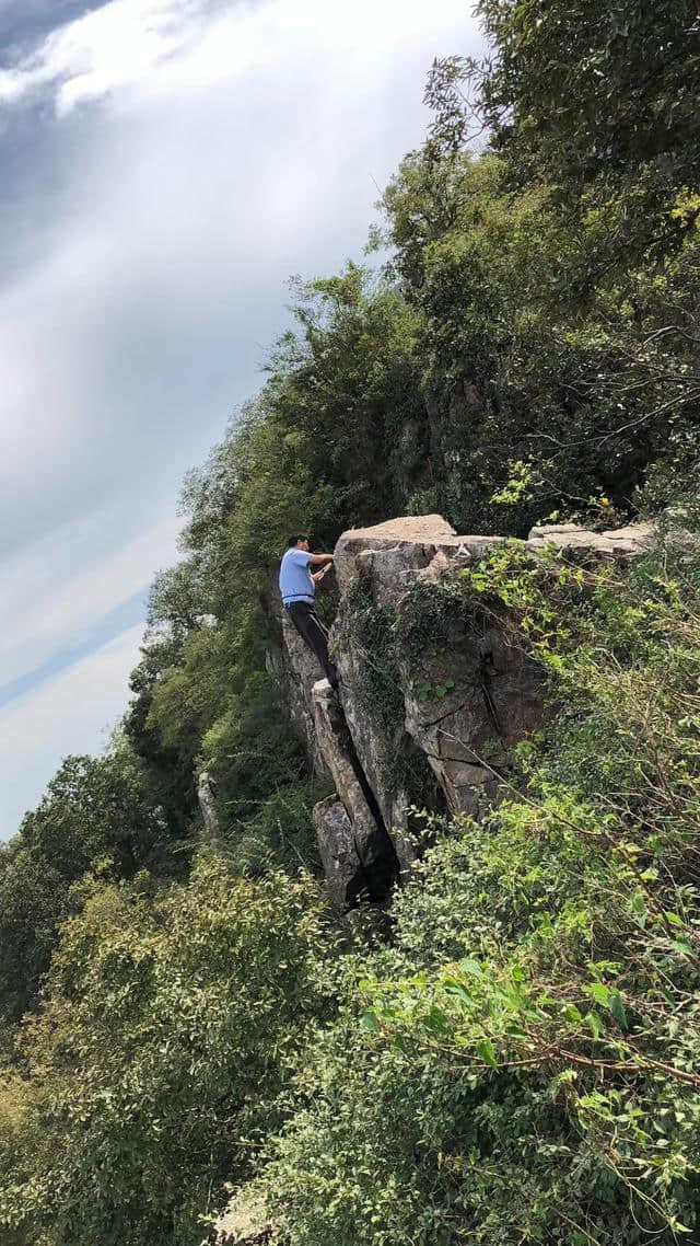 紫金山头陀岭的“美容师”