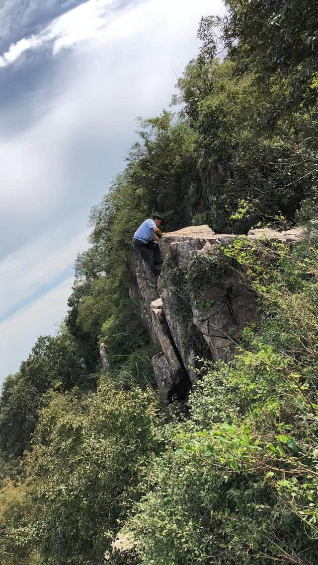 紫金山头陀岭的“美容师”