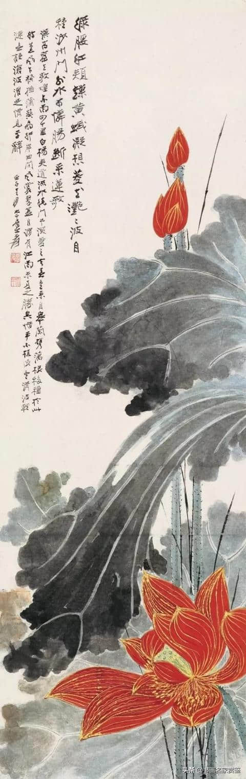 荷叶罗裙一色裁，芙蓉向脸两边开——张大千画荷（一）