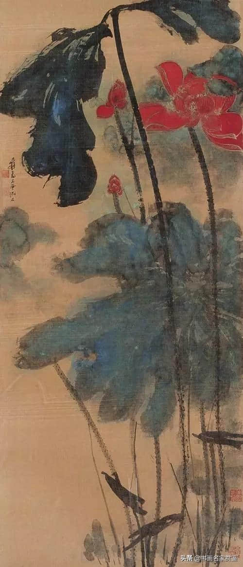 荷叶罗裙一色裁，芙蓉向脸两边开——张大千画荷（一）