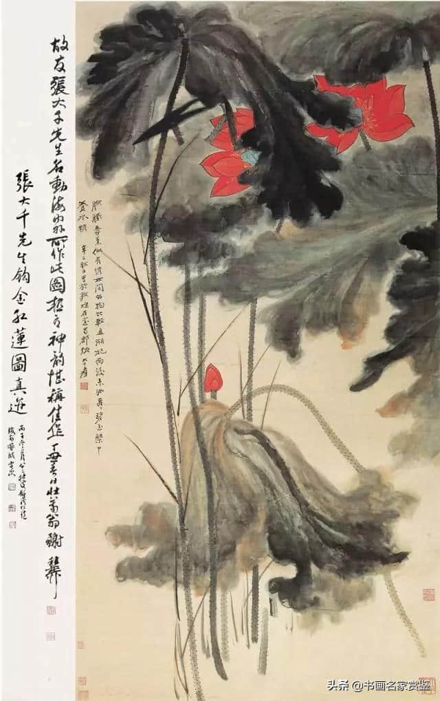 荷叶罗裙一色裁，芙蓉向脸两边开——张大千画荷（一）