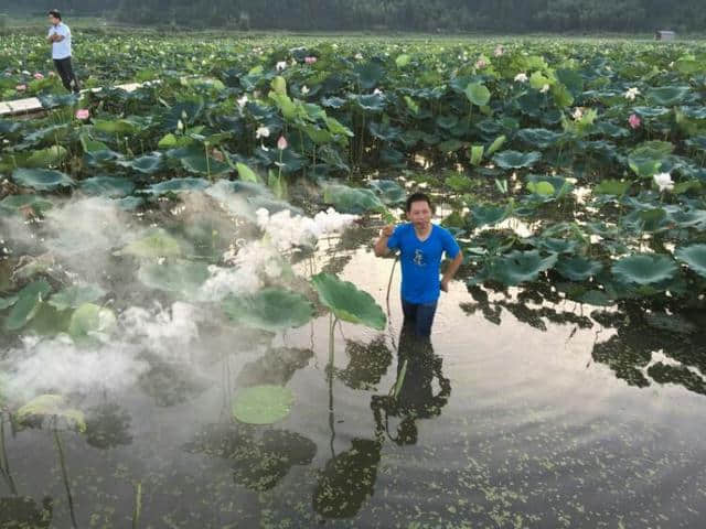 落入凡尘的荷花仙子