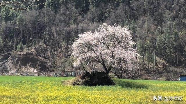 纸上得来终觉浅,绝知此事要躬行