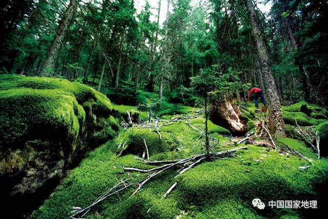 贺兰山：银川平原的守护神