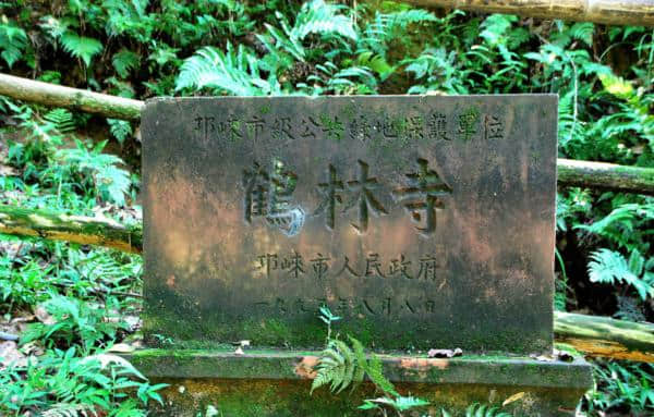 邛崃白鹤山上探秘寻幽 鹤林寺中打坐参禅