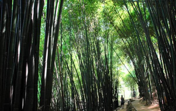 邛崃白鹤山上探秘寻幽 鹤林寺中打坐参禅