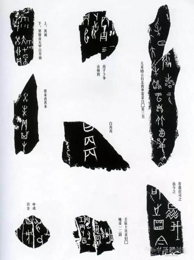 中国最早古文字：甲骨文