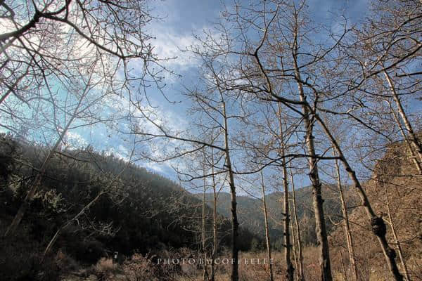 苍茫大地，深入贺兰山秘境