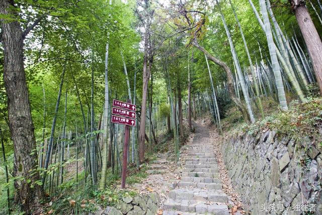 江南第一山 人文风情荟萃的莫干山