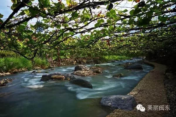 春游游名山 ，盘点春季不容错过的宁德名山