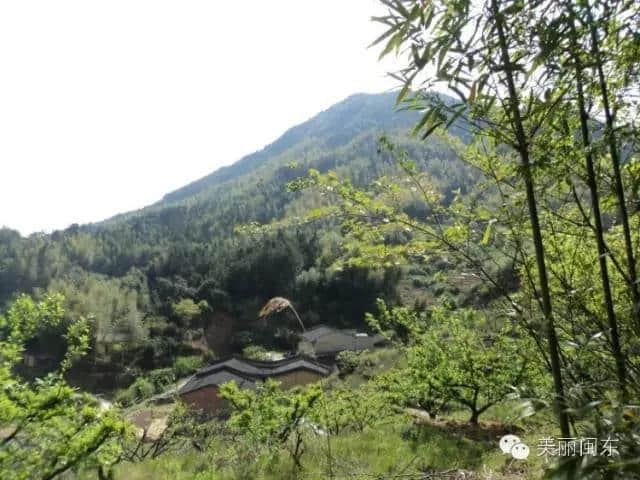 春游游名山 ，盘点春季不容错过的宁德名山