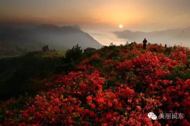 春游游名山 ，盘点春季不容错过的宁德名山