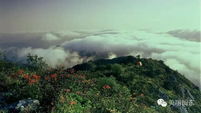 春游游名山 ，盘点春季不容错过的宁德名山