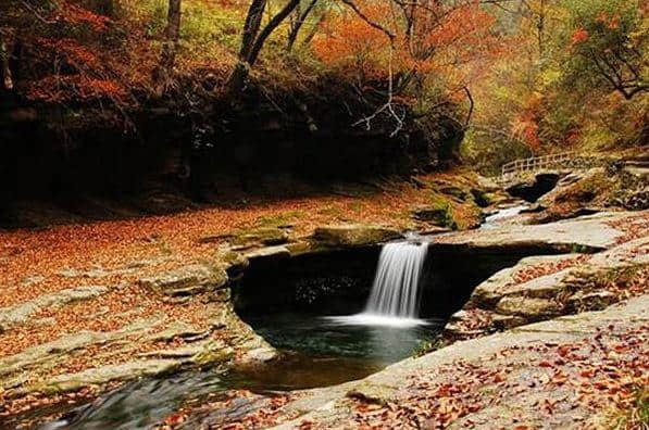 停车坐爱枫林晚，红叶赏秋正当时，西安周边的红叶盛景