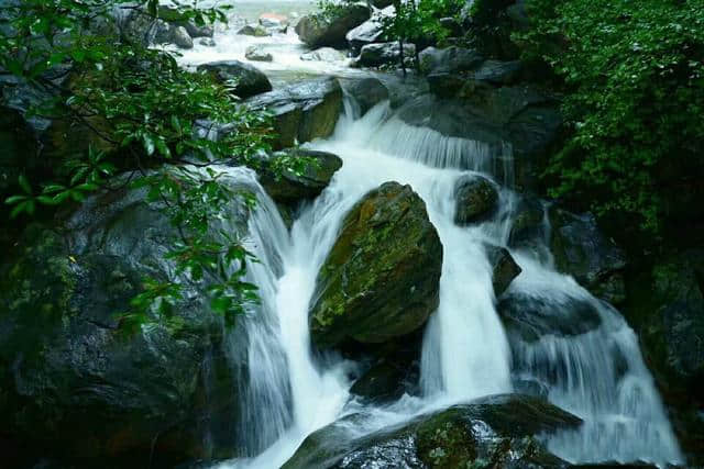 秋雨中的桐柏山