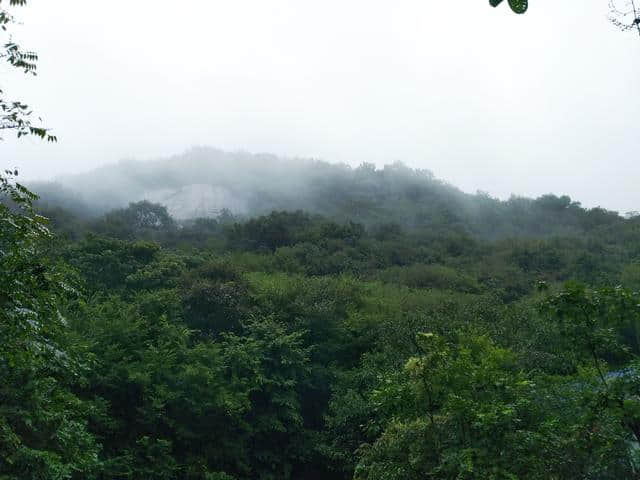 秋雨中的桐柏山