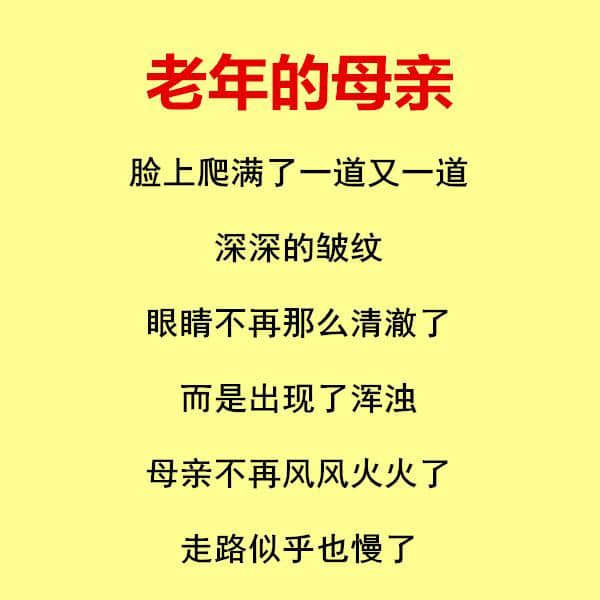 年轻的母亲，中年的母亲，老去的母亲