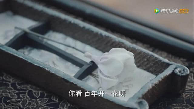 听雪楼：你知不知道有哪几种特别神奇的花？