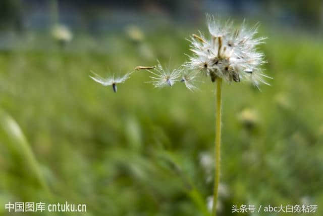 莫言经典语录，值得收藏