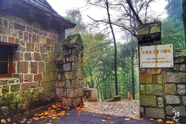 莫干山，毛泽东和蒋介石共同居住过的地方！