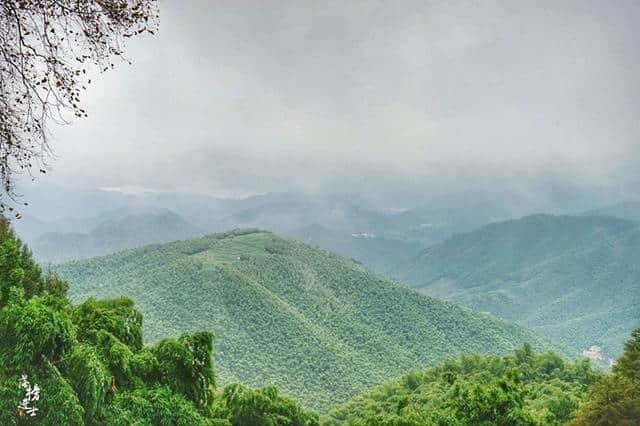 莫干山，毛泽东和蒋介石共同居住过的地方！