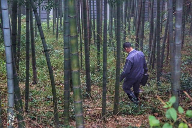 莫干山，毛泽东和蒋介石共同居住过的地方！