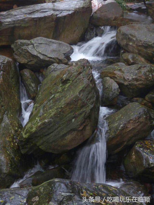 魅力河南中原行：走进南阳桐柏山